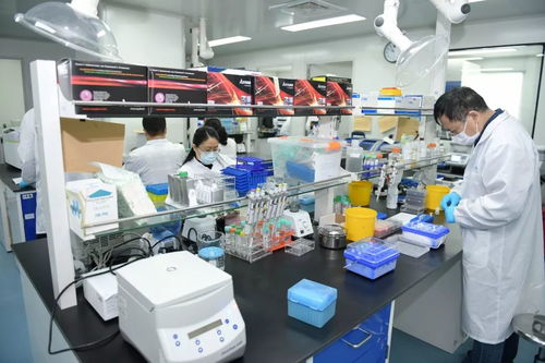 全力以赴 争分夺秒加强科技攻关 李强今天调研生物医药企业,要求加快抗疫产品研发 应用 生产