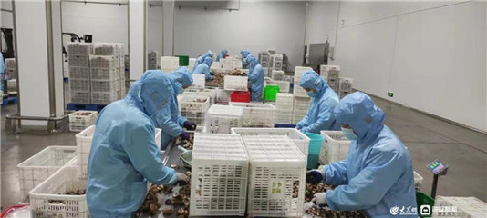 9个集体如何登上光荣榜? 聆听2022年4个山东省五一劳动奖状、5个山东省工人先锋号背后的故事