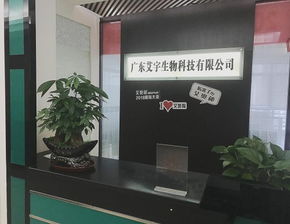 一家高科技的艾宇公司,一个艾奥秘品牌,揭开一个创新项目快速崛起的奥秘