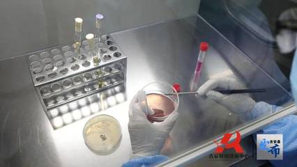 我县一爱心企业向新疆喀什捐赠医疗物资