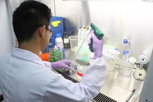 酷暑中的坚守 谁是最可爱的人 实验室工作实录 下