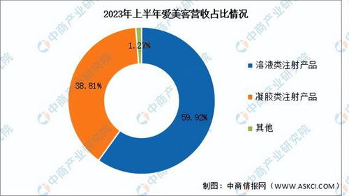 2024年中国医疗美容行业市场前景预测研究报告 简版