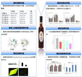 科研成果