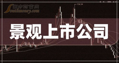 创业板景观公司排名 2024上市公司市值榜