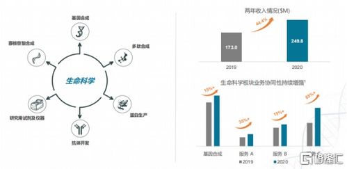 金斯瑞生物科技 1548.hk 营收增长43 ,非细胞治疗超预期,研发将迎收获期