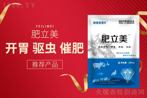夏季母猪吃料少,采食量下降怎么办 是因为你不知道这些