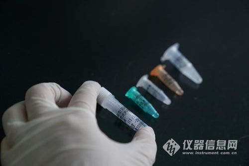 10台大型核酸检测仪运抵武汉 可日检6000份样品