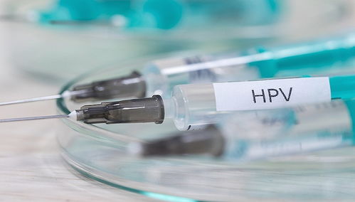财说 万泰生物上半年净赚7.22亿元,hpv疫苗几家欢喜几家愁