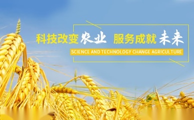 大清生物Datsing品牌怎么样