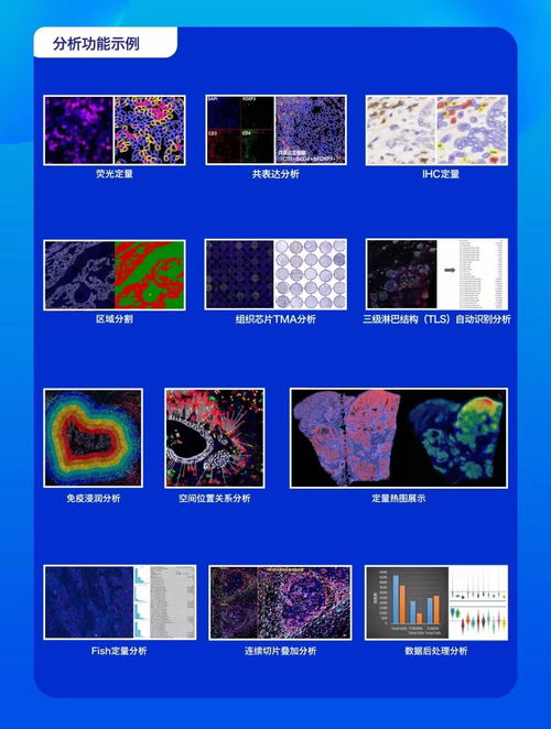 ap time 病理图像多功能分析软件