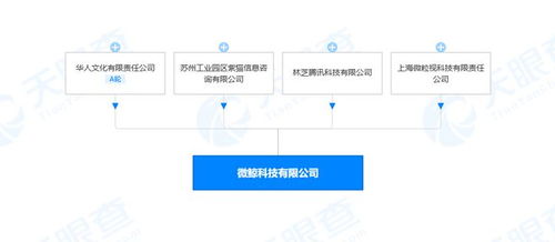 阿里巴巴退股智能电视提供商微鲸科技