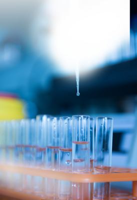 关于我们客户生物蓝色手机海报