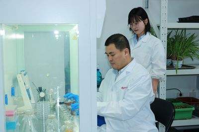 中新科农与云南大学携手科技攻关，成功破解根结线虫防治难题