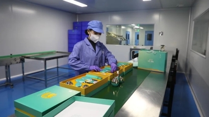 诚信立形象 实干开新局——阿右旗公司实力入选全区专利产业化优秀案例